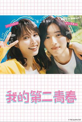 常德专业seo优化企业